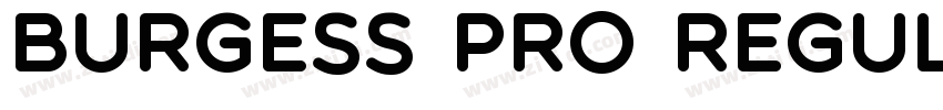 Burgess Pro Regular字体转换